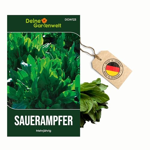 Sauerampfer Mehrjährig Samen - Rumex acetosa - Sauerampfersamen - Gemüsesamen - Saatgut für 200 Pflanzen