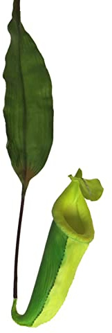 artplants.de Dekorativ krukväxt JIANUO med kruka, grön, 65 cm