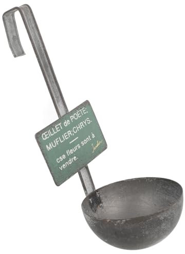 Toyvian Porta Vasi in Forma Di Cucchiaio Contenitore Per Piante Da Parete Vaso Da Fiori in Ferro Unico Per Veranda Balcone Giardino Fioriera Decorativa Per Uso Interno Ed Esterno