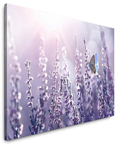 Paul Sinus Art Lavendel und Schmetterlinge 120x 80cm Inspirierende Fotokunst in Museums-Qualität für Ihr Zuhause als Wandbild auf Leinwand in