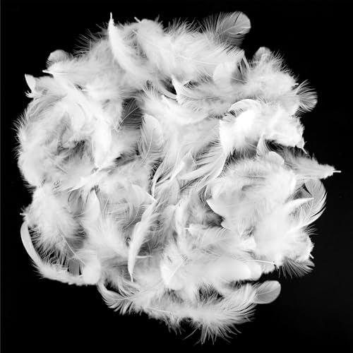 jwogngls 500 Stück Weiße Federn zum Basteln, 8-12cm Federn Weiss, Flauschig Federn Weiß, DIY Feder Deko, White Feathers für Hochzeiten, Traumfänger, Bastelprojekte