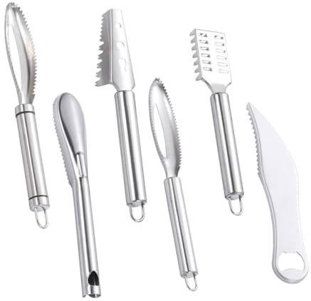 HOLIDYOYO 6pezzi Utensili Inossidabile per Raschietto per Rimuovere Scaglie Design e Accessorio per La Casa