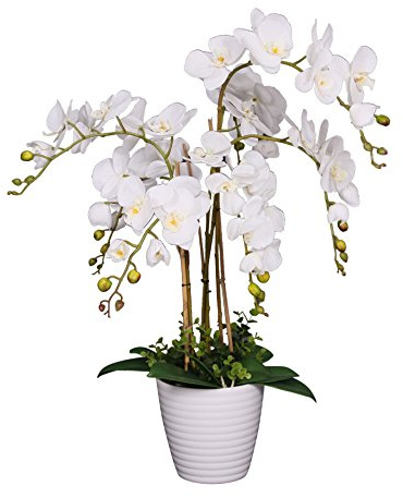 AMERIQUE Planta Artificial de orquídea Phalaenopsis única y Hermosa, Flores de Seda con Hojas de Tacto Real, con Maceta de vivero, 2.5 pies, Color Blanco