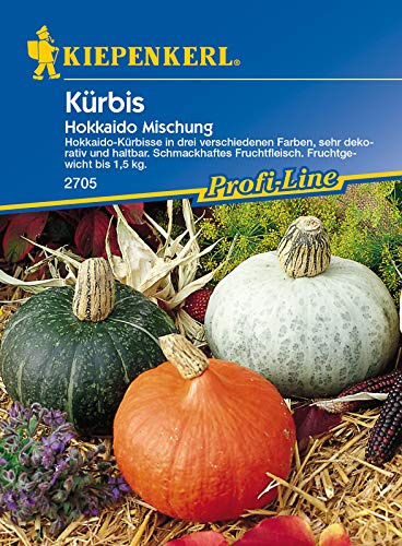 Kiepenkerl 2705 Kürbis Hokkaido Mischung (Hokkaidokürbissamen)