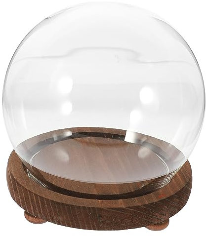 Alipis Mini Glass Dome Display Case with Wooden Base Cloche for DIY Micro-landscape Preserved Flower Holder Spherical Glass Cover with Feet Home Decor Display