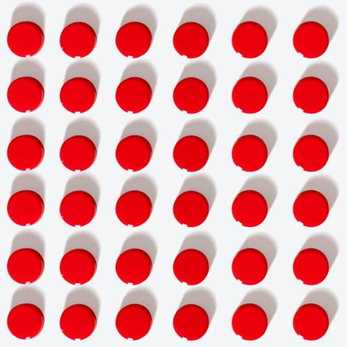 PYJLBX Magnete für Magnettafel, 40 Stück Kühlschrankmagnete, Mini Magnete Stark, Klein Whiteboard Magnet Rund, Magneten für Tafel, Pinnwand, Kühlschrank, Magnetwand, Büro, Zuhause & Schule (Rot)