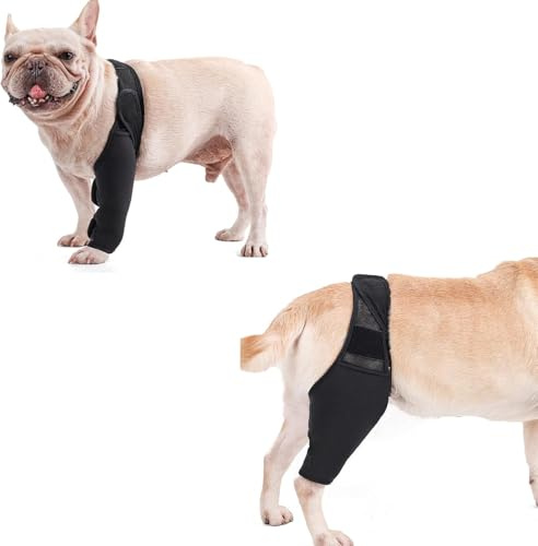 Vnnigmn Hunde-Kniebandage für gerissene Beine, Haustier-Hinterbeinstütze, Schutz für kleine, mittelgroße und große Hunde, Vorder- und Hinterbeine, reduziert Schmerzen und Entzündungen (XS)