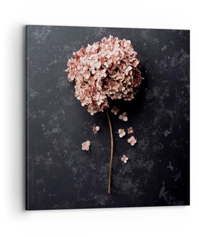 Bilder auf Leinwand 70x70cm Leinwandbild mit Rahmen Blume Hortensie Natur Groß Wanddeko Bild Schlafzimmer Küche Deko Wandbilder Dekoration Wohnzimmer Wall Decor Canvas Wand Kunstdruck Art AC70x70-5244