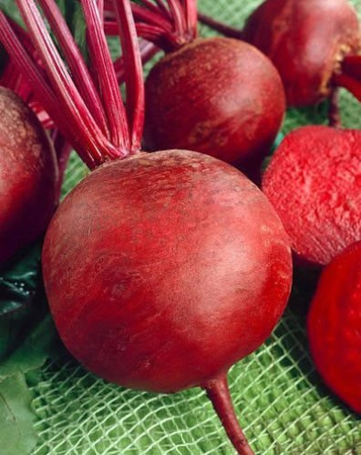 Graines de betteraves rouges foncées Detroit Seeds Loose Heerloom Betteraves Nongmo