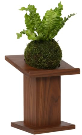 DECOALIVE Kokedama de Helecho Nido de Ave Asplenium Planta Viva