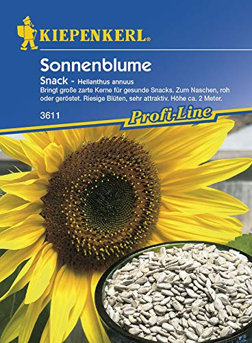 Kiepenkerl 3611 Sonnenblume Snack (Sonnenblumensamen)