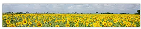 MuchoWow® Balkon Sichtschutz Sichtschutzmatte Balkonbanner Abdeckung für Terrasse Balkon Windschutz Blickdicht Wetterfest 500x80 cm Sonnenblumen - Blumen - Wolken - Natur - Gelb - Landschaft