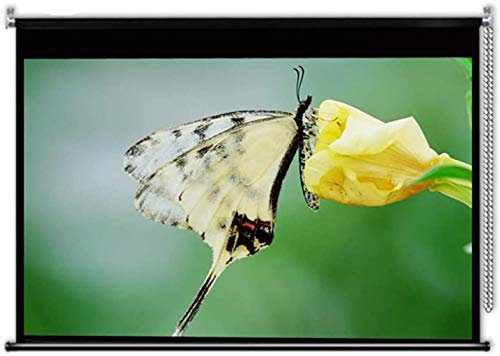 FOELANNE Schermo per proiettore Manuale Portatile, 60/72/84/100 Pollici Tenda a Rullo Regolabile Morbido Schermo Panno Domestico Montaggio a Parete Antirughe(60inch)