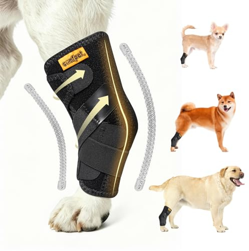 COMFPET Hundehalsbandage für hintere Sprunggelenk,M (5-7) | Hund Bein Unterstützung Wrap mit Metall-Streifen, Hinterbein Wrap Protector, Hund Verstauchungen zu verhindern