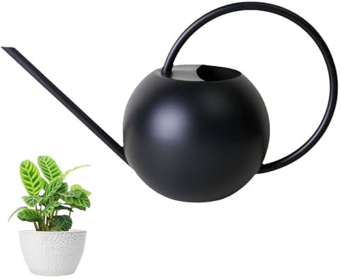 LPAMABA Annaffiatoio da 400 ml in Acciaio Inossidabile, Mini per Bonsai e Piante da Interno, Piccoli per Interni (Nero)