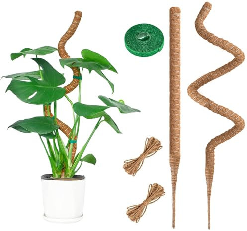 95CM Bastoni per Piante,Palo del Muschio per la Pianta,Pali Piegabili della Fibra di Cocco Bastone del Muschio della Pianta,Porta Piante Rampicanti per Piante da Interno（2×95CM）