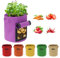 Kartoffel Pflanzsack 6 Stück 10 Gallonen Kartoffel Pflanzsack, 38 L Pflanztaschen mit Sichtbarer Klappe und Griffen, Mehrfarbig Garten Pflanzbeutel für Gemüse, Kartoffel, Tomaten (10 Gallone, 38 L)