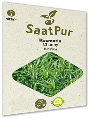 SaatPur Rosmarin Samen, Saatgut für ca. 50 Pflanzen mehrjährig Kräutersamen