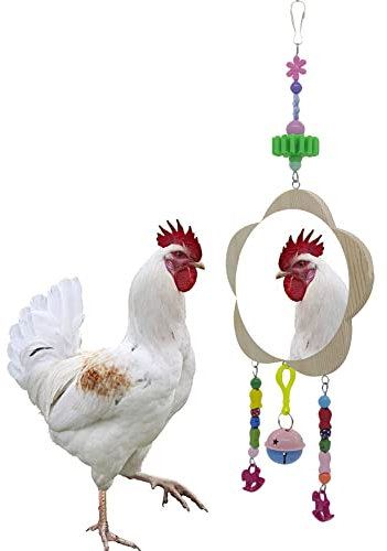 Vogelspielzeug zum Aufhängen, Huhn-Spiegel, Spielzeug mit Glocke, Holzspielzeug für Küken, Hühner, Hähne