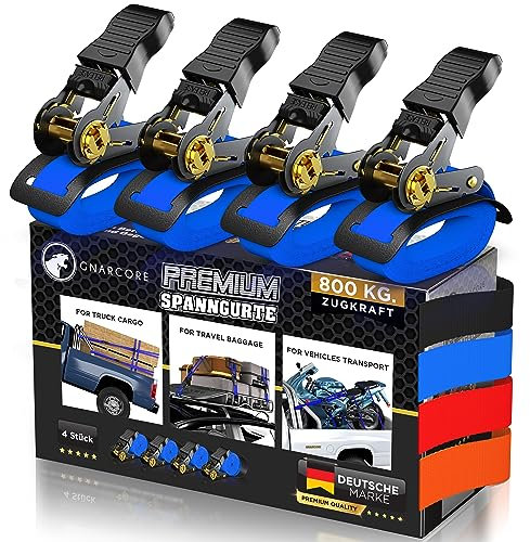 Cinghie di Fissaggio a Cricchetto Premium, Set da 4, Resistenza 800 Kg, Con Borse - Certificato DIN EN 12195-2