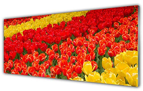 Tulup Acrylic Glass Print 125x50cm Wall Art - Wall Picture Plastic Acrylic Glass - Tulips Floral