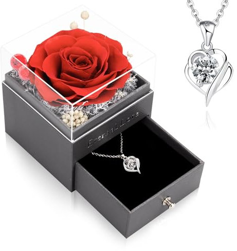 CSYY Ewige Rose, Geschenke für Frauen Infinity Rosen mit 925 Sterling Silber Kette Schmuck Handgefertigte Konservierte Rosen Schmuck Geschenkbox für Frauen Mama Schwester Ehefrau am Weihnachten