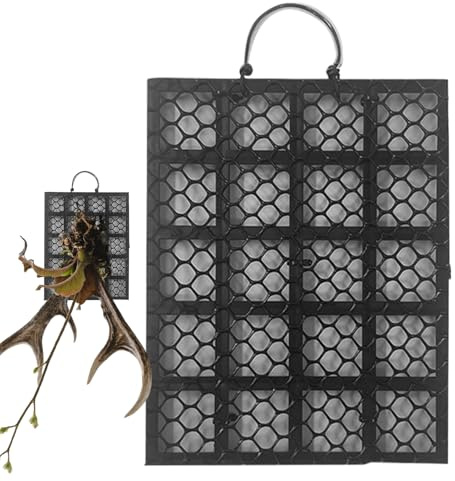Placa para Helecho Cuerno De Alce | Panel Exhibidor Soporte Pared Helecho - Accesorios De Fijación para Orquídeas De Uso En Interior Y Exterior para Hogar