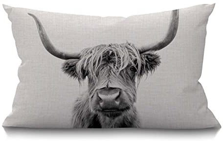 Smooffly Funda de almohada decorativa de vaca con retrato de una vaca de las tierras altas, cuerno de buey peludo gris y blanco, funda de cojín de lino de algodón para sofá, sofá, algodón y lino, 12 x