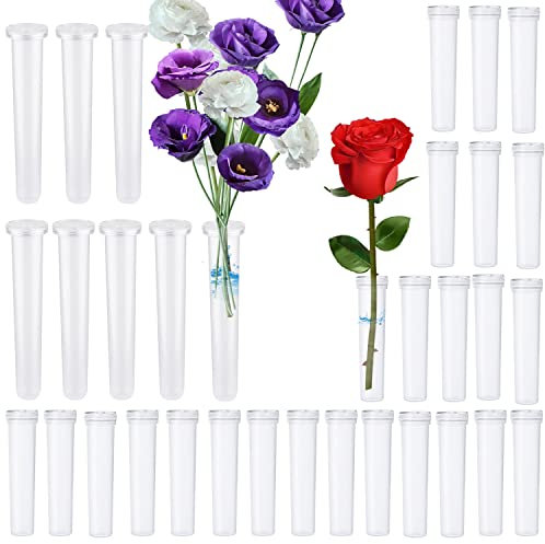 RHBHY Wasserröhrchen für Blumen Blumenröhrchen Kunststoff Reagenzgläser für Blumen Wiederverwendbare Transparent Orchideenröhrchen für Blumenarrangements Pflanzen (Groß 15Stk, Klein 55Stk)