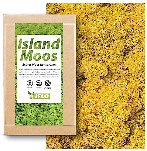 Echtes Moos - Natur Dekomoos zum basteln in verschiedenen frischen Sorten - DIY - Islandmoos, Plattenmoos, Bollenmoos, Hügelmoos Sphagnum Moos (100g - Island Moos Gelb)