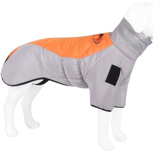Hunderegenmantel – Wasserdichter Hundemantel (grau+orange, M)