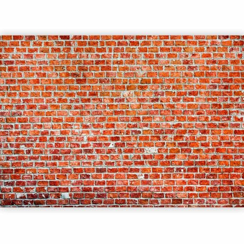 murando Fotomurales 500x350 cm XXL Papel pintado tejido no tejido Decoración de Pared decorativos Murales moderna Diseno Fotográfico ladrillo f-B-0030-a-d