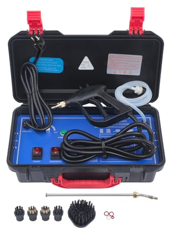 Pulitore a vapore 3000 W, dispositivo di pulizia professionale, quantità di vapore regolabile, vapore ad alta pressione, 2-3,5 bar, due modalità di pulizia con più spazzole