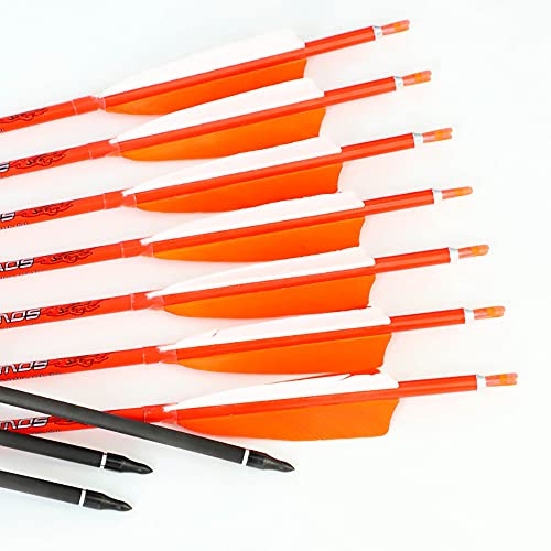 ACCMOS Spine 800 Carbonpfeile 31 Zoll mit 4 Natürliche Feder für Langbogen Recurve Bogen Compoundbogen Bogenschießen Jagd 12 Stück (12pcs, Spine 800)