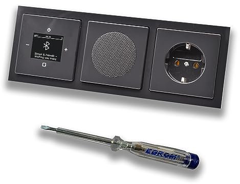 Busch Jäger DAB+ Unterputz Bluetooth Radio 8217U-101 Future Anthrazit, Komplett-Set mit Lautsprecher, Abdeckungen, Steckdose mit Kinderschutz, Rahmen + EBROM Phasenprüfer zur Montage d. Geräte - 8217U