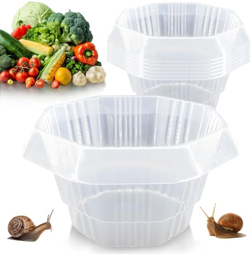 Schneckenkragen, 6 Stück Kunststoff Schneckenschutz Schneckenschutzring, Wiederverwendbarer Schneckenkorn Schneckenzaun, Schneckenring Stabil, Natürlicher Schneckenschutz für Salat und Kohl (B)