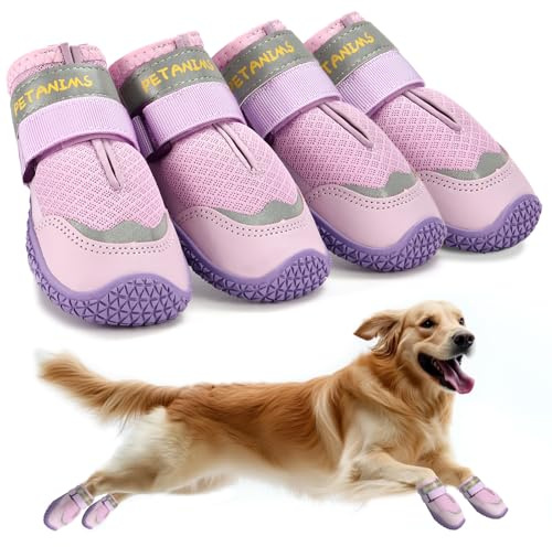 Petanims Hundeschuhe für kleine Hunde, mittelgroße Hundeschuhe und Pfotenschutz für den Winter, Schnee, atmungsaktive Hundeschuhe für heißen Gehweg, Hartholzböden, Lila, Größe 2