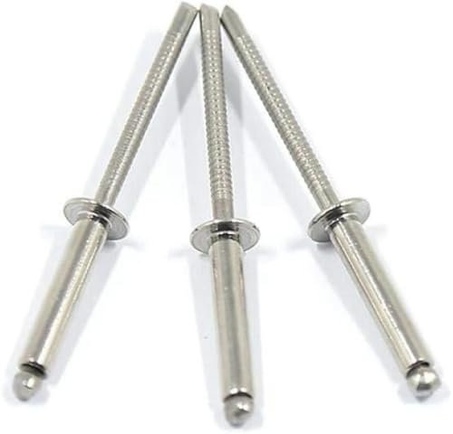 M2.4-M5.0 304 Edelstahl Ganzstahl-Blindnieten Dekorative Nägel-3,2 * 13 (100 Stück)-4,8 * 12 (50 Stück)