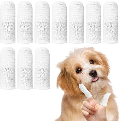 Cepillo de dientes para perro