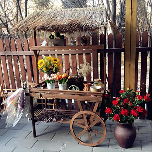 PRUJOY Carro Grande para Flores de 3 Niveles, macetero de Madera Maciza, Soporte para Plantas con Carrito, Estante de exhibición para decoración de jardín (Wood)