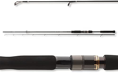 Daiwa Airity Jigger - Caña de pescar (2,70 m, 7-28 g)