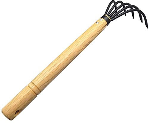 Mini Outil de repiquage de Jardin en Acier, râteau à Main, Outil de creusement Portable, 5 Griffes pour râteau de Jardin de pépinière Propre, Feuilles mortes, Mauvaises Herbes