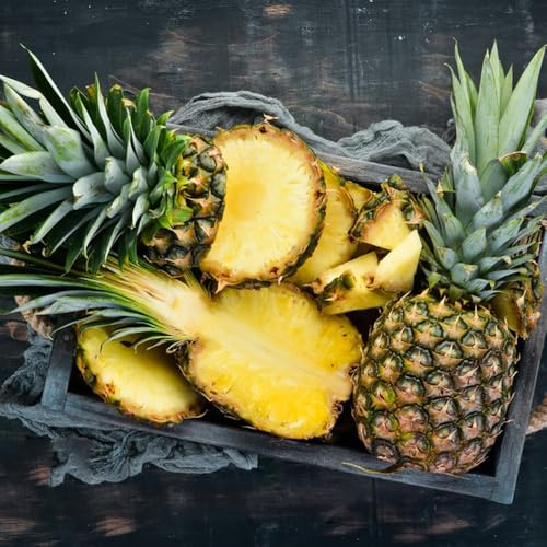 Semi di ananas - per aiuole rialzate da nani resistenti semi rari esotiche frutteto resistenti per il giardino fresca semi di da balcone 60pcs