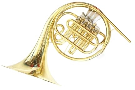 Waldhorn Anfängerinstrument Einreihiges B Waldhorn Spielinstrument Für Anfänger Und Erwachsene
