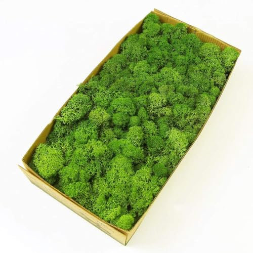 Prefleur Artificial Fake Moss Reindeer Craft Moss Natural Green DIY Kit Gardenning Art Wall Decor Florist Easter(0.85lb)(Green-02)