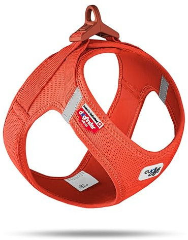 Curli Hundsele, Solorange, S