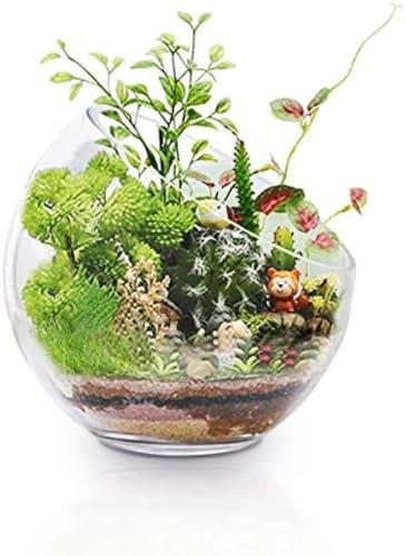 Slant Cut Bowl Glass Planter Terrarium Large Glass Fish Bowl 7x7 Glass Planter Terrarium, Candy Jar, Air Plant Holder Glass Vase For Tabletop Decor,7x7