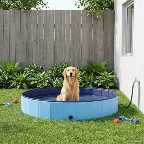 Mangloder Hundpool blå Ø 300 x 38 cm tillverkad av tjock PVC för hund, valp och husdjur, robust djurtillbehör för trädgård, utomhus, resor och hygien
