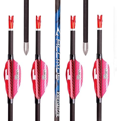 PHILOCS 12Stück ID 4.2mm Spirale Feder Pfeile Spine 300 350 400 500 600 700 800 900 1000 Jagd Übungspfeil für Bogen und Pfeil Schießen (Spine 400, 30inch)
