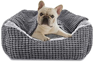 JOEJOY Hundebett Kleine Hunde, Hundekorb mit Herausnehmbar Decke, Hundebetten Cord Flauschiges Waschbar, rutschfest Hundekörbchen, Hundesofa mit Hohem Rand Passt bis zu 9kg Haustiere(51x48x15cm)